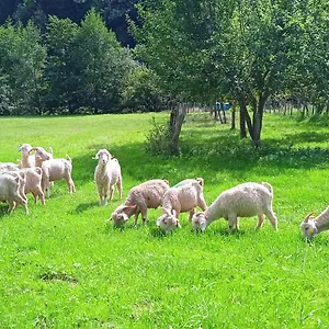Au Mohair Des Alpy , Fougax-et-Barrineuf Frankreich